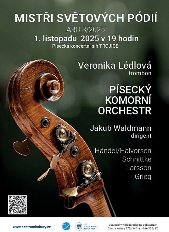 25 11 01 Piko plakat